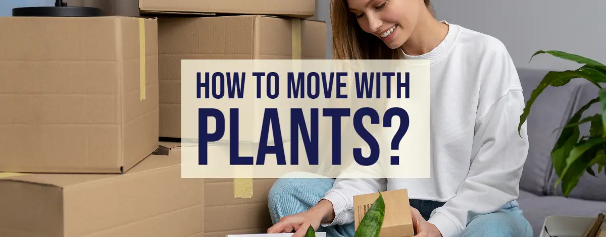 How To Move With Plants